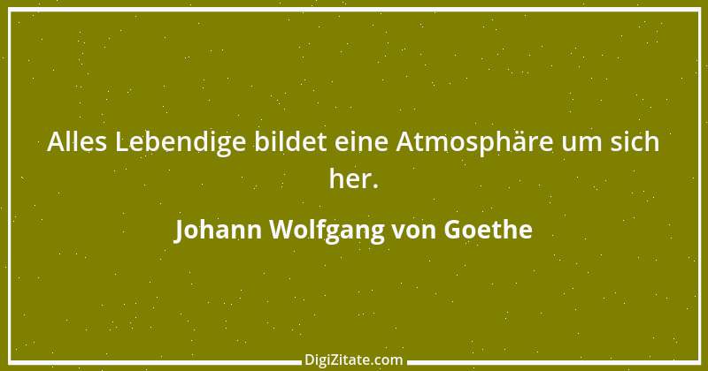 Zitat von Johann Wolfgang von Goethe 2864