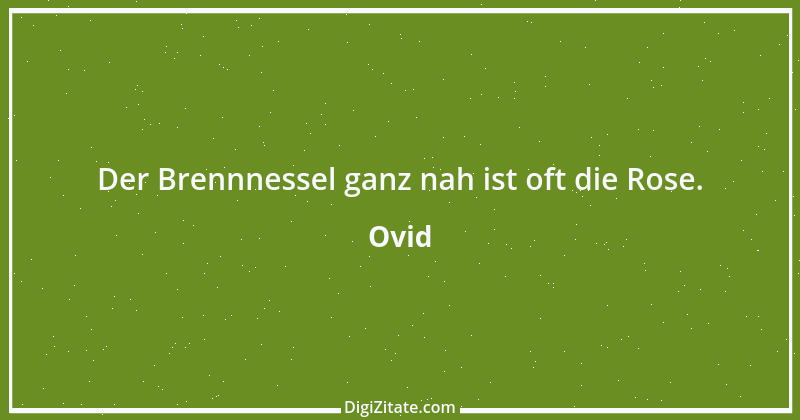 Zitat von Ovid 244