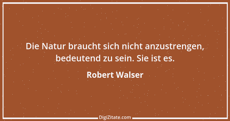 Zitat von Robert Walser 5