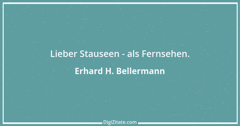 Zitat von Erhard H. Bellermann 379