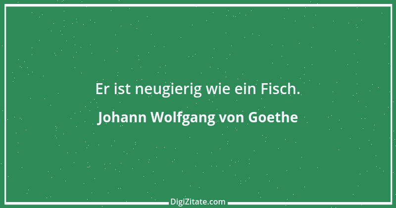 Zitat von Johann Wolfgang von Goethe 865