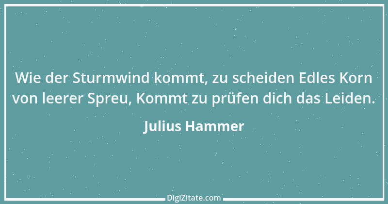 Zitat von Julius Hammer 12