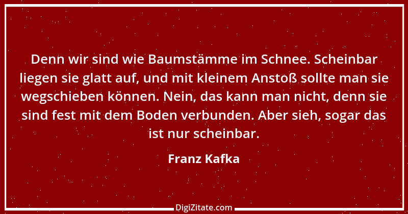 Zitat von Franz Kafka 95