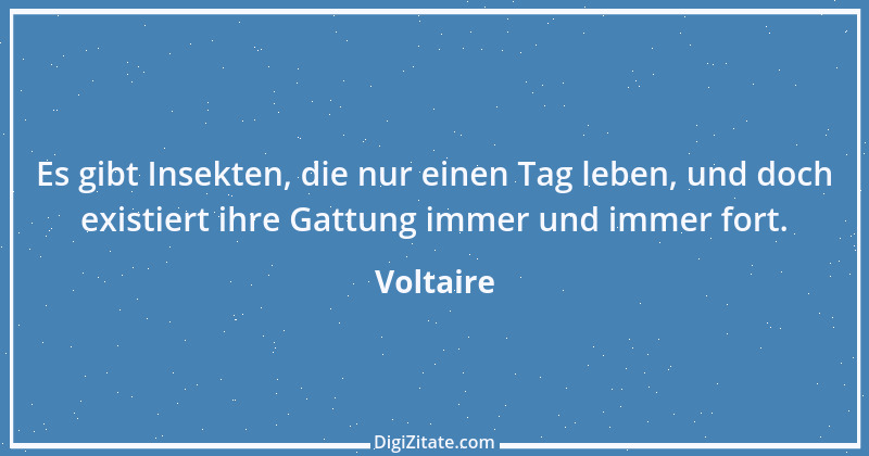 Zitat von Voltaire 385