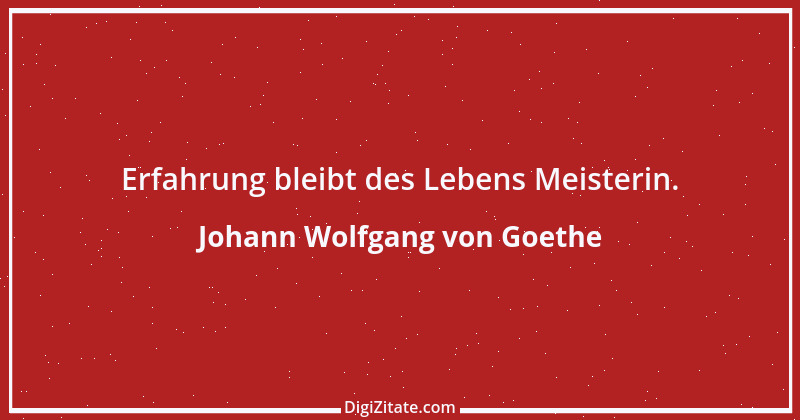 Zitat von Johann Wolfgang von Goethe 3866