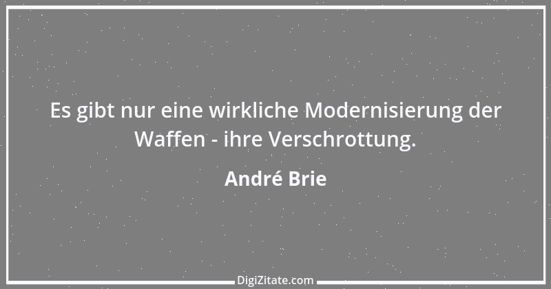 Zitat von André Brie 148