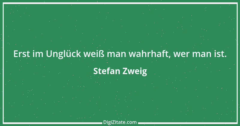 Zitat von Stefan Zweig 29