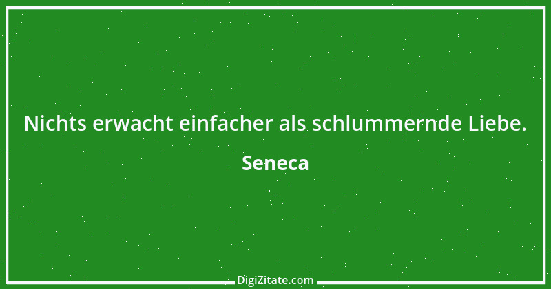 Zitat von Seneca 5