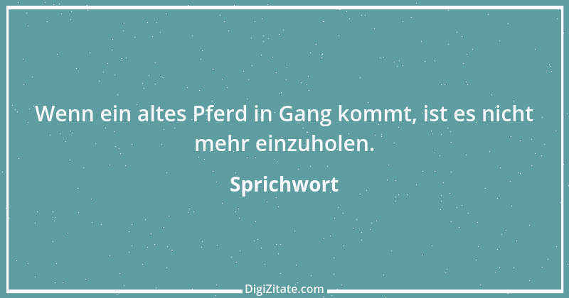 Zitat von Sprichwort 5861