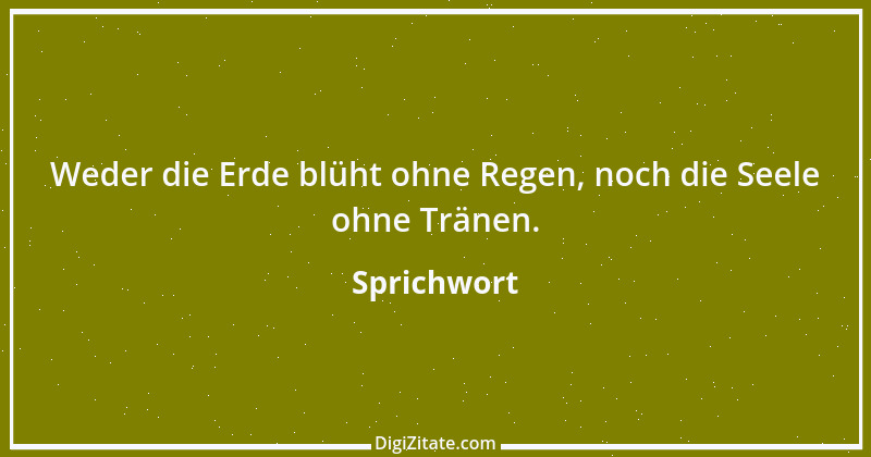 Zitat von Sprichwort 7861