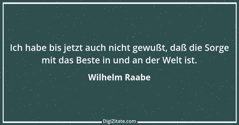 Zitat von Wilhelm Raabe 348