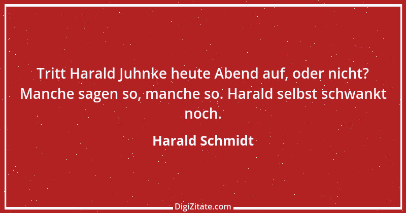 Zitat von Harald Schmidt 188