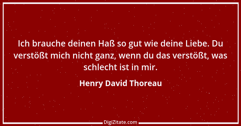 Zitat von Henry David Thoreau 113