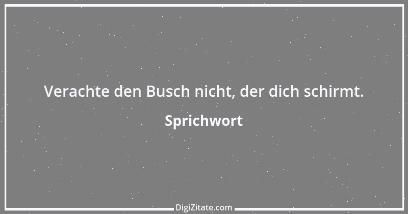 Zitat von Sprichwort 9862