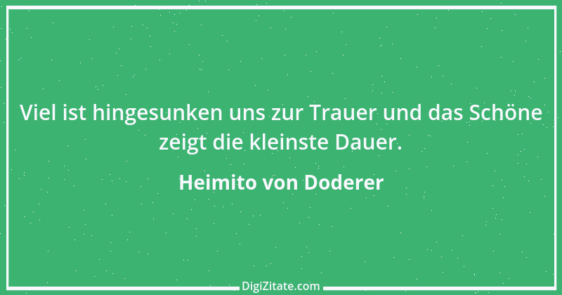 Zitat von Heimito von Doderer 40