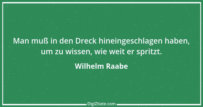 Zitat von Wilhelm Raabe 350