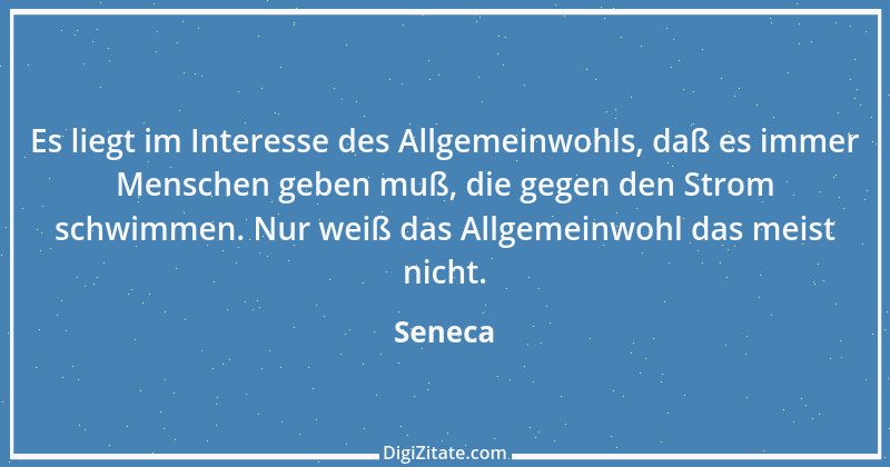 Zitat von Seneca 8