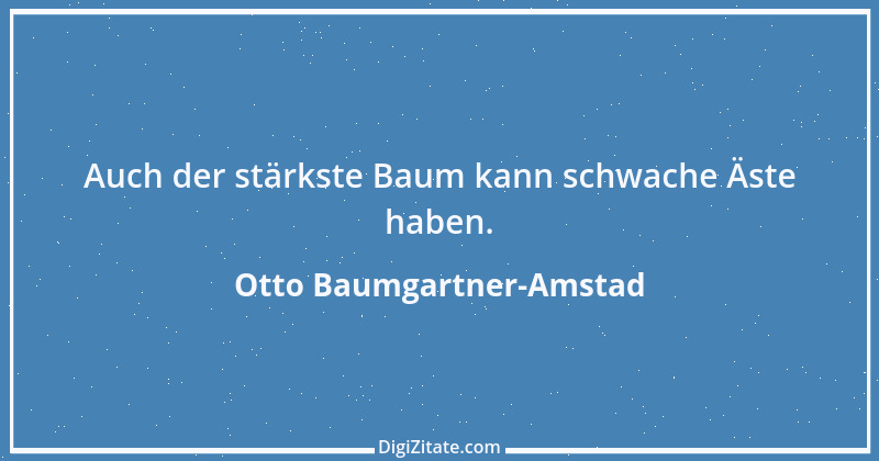 Zitat von Otto Baumgartner-Amstad 160