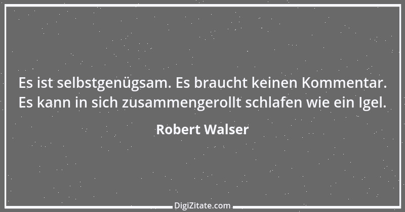 Zitat von Robert Walser 16