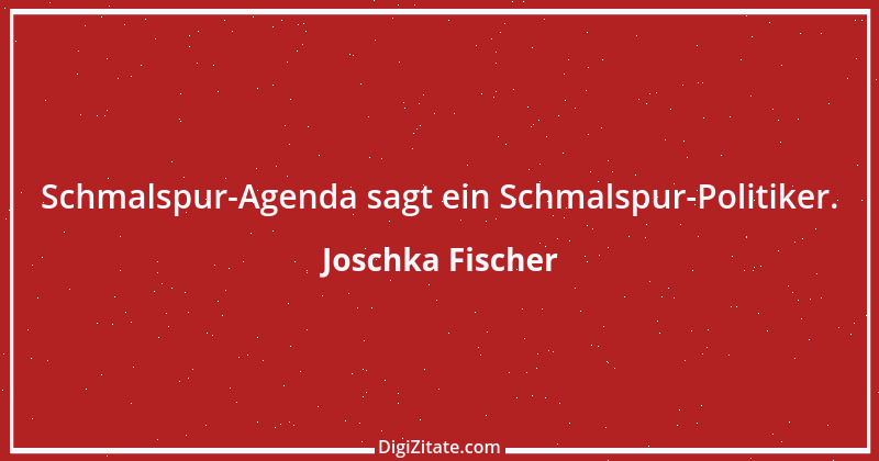 Zitat von Joschka Fischer 32