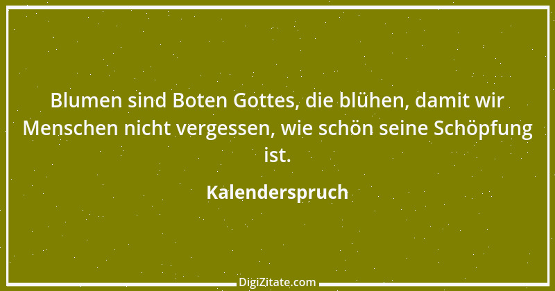 Zitat von Kalenderspruch 155