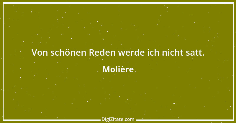 Zitat von Molière 144