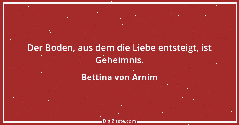 Zitat von Bettina von Arnim 132