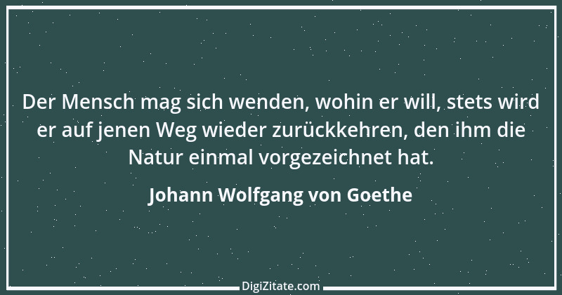 Zitat von Johann Wolfgang von Goethe 877