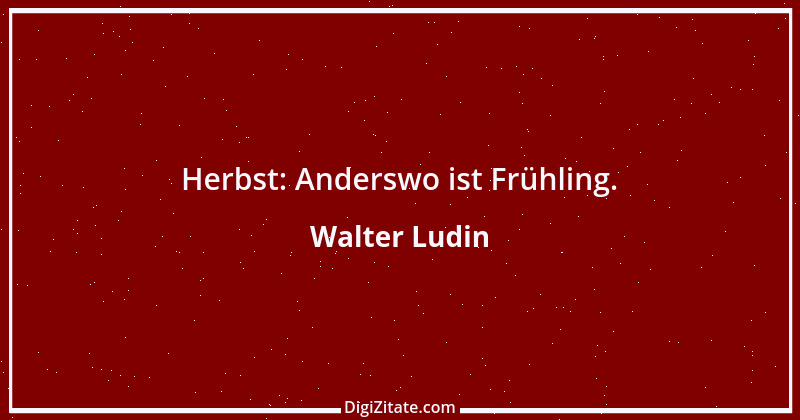 Zitat von Walter Ludin 1379