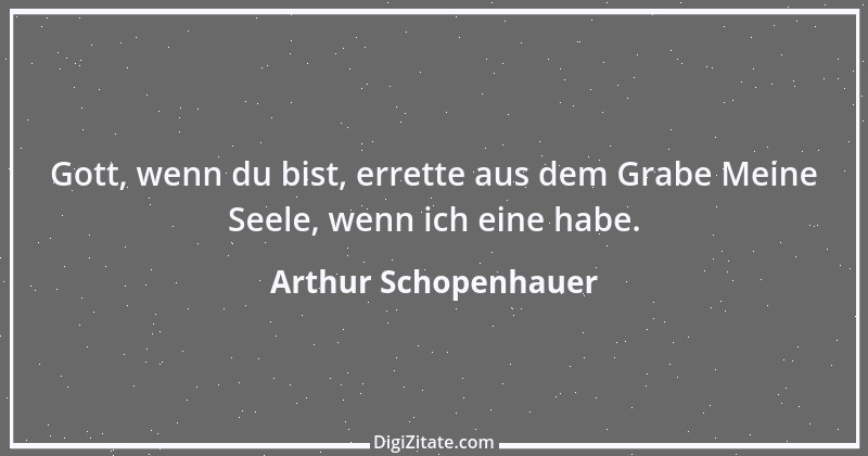 Zitat von Arthur Schopenhauer 744