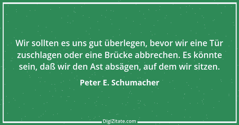 Zitat von Peter E. Schumacher 683