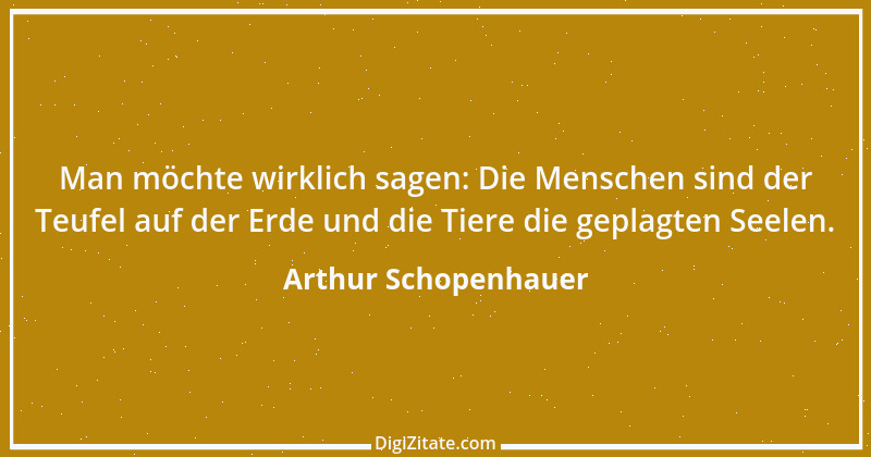 Zitat von Arthur Schopenhauer 745