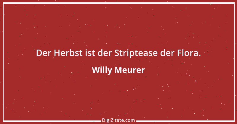 Zitat von Willy Meurer 180