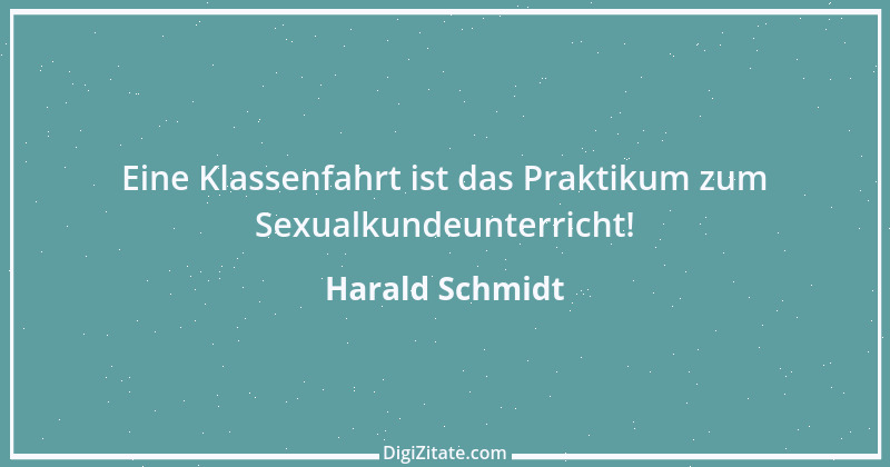 Zitat von Harald Schmidt 198