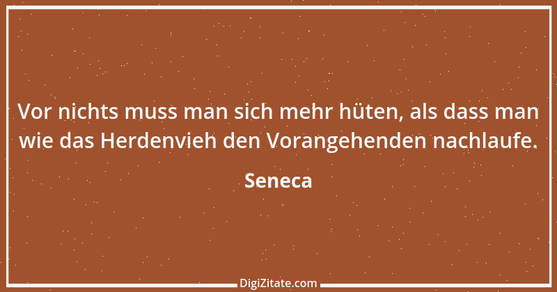 Zitat von Seneca 16