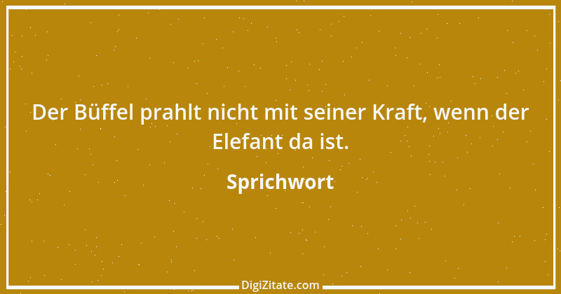 Zitat von Sprichwort 7872