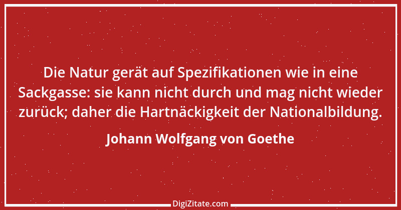 Zitat von Johann Wolfgang von Goethe 2881