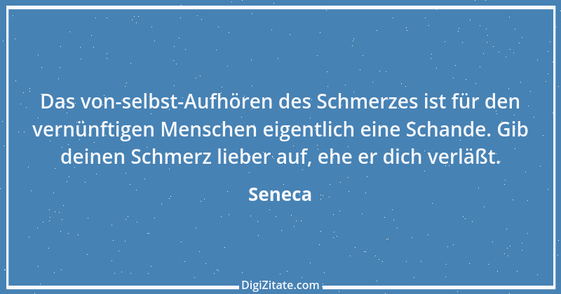 Zitat von Seneca 17