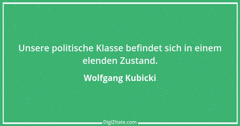 Zitat von Wolfgang Kubicki 5