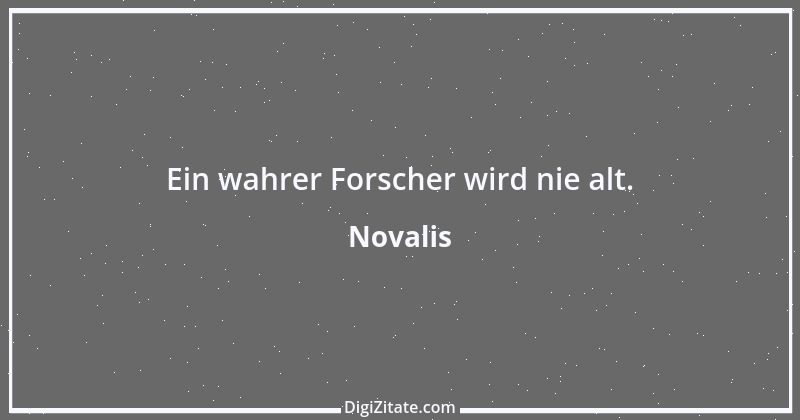 Zitat von Novalis 206