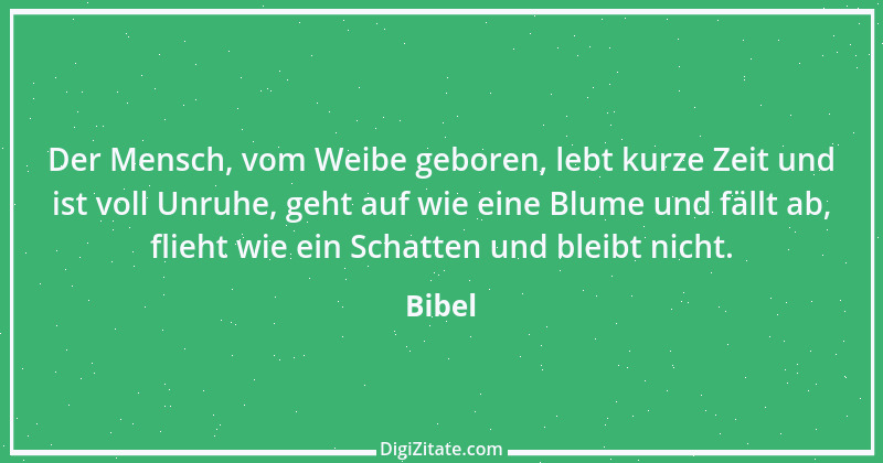 Zitat von Bibel 918