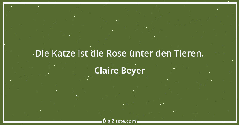 Zitat von Claire Beyer 2