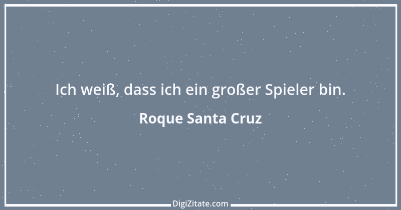 Zitat von Roque Santa Cruz 1