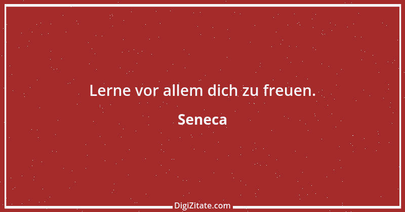 Zitat von Seneca 21