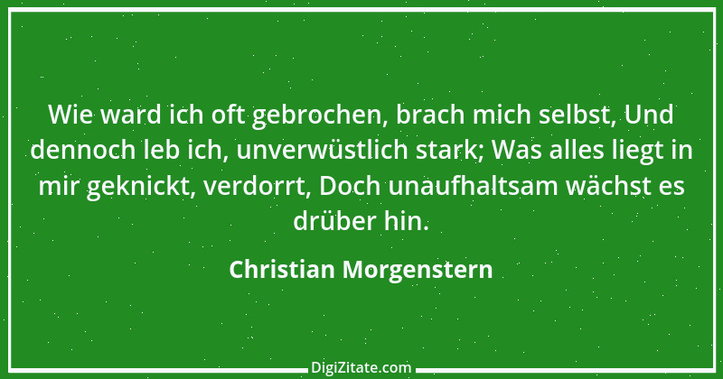 Zitat von Christian Morgenstern 265