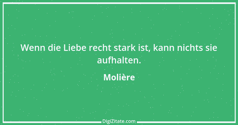 Zitat von Molière 145