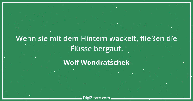 Zitat von Wolf Wondratschek 7