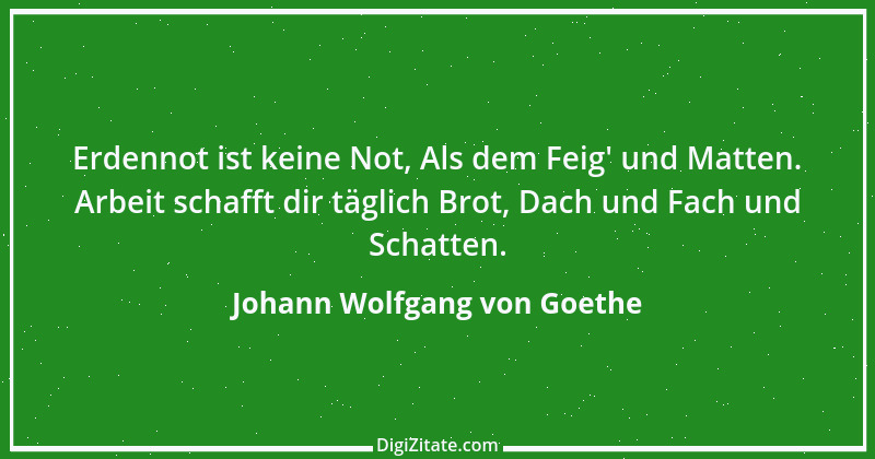 Zitat von Johann Wolfgang von Goethe 888