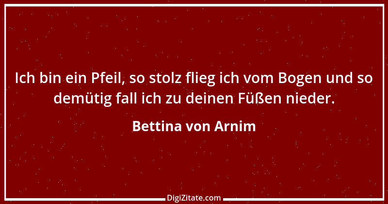 Zitat von Bettina von Arnim 144