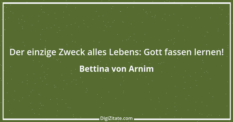 Zitat von Bettina von Arnim 145